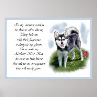 Alaskan Klee Kai : Choose best dog breeds for you (Paperback)