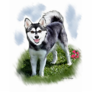 Alaskan Klee Kai Art Statuette