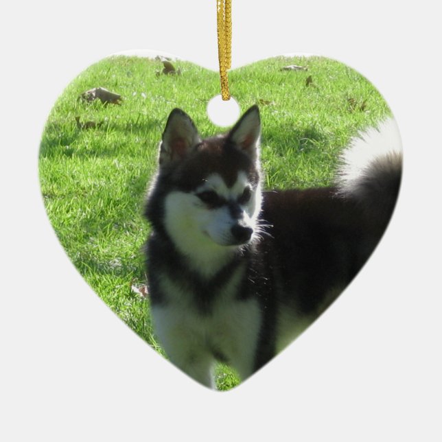 Alaskan Klee Kai Dog Ceramic Ornament (Front)