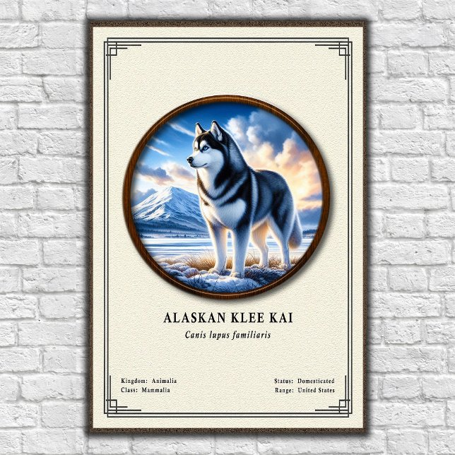 Alaskan Klee Kai Zoology Series Poster (Creator Uploaded)