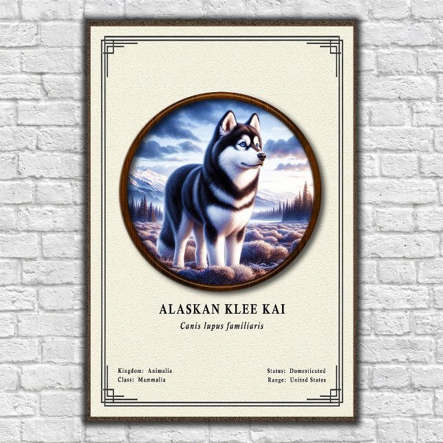 Alaskan Klee Kai Zoology Series Poster (Creator Uploaded)