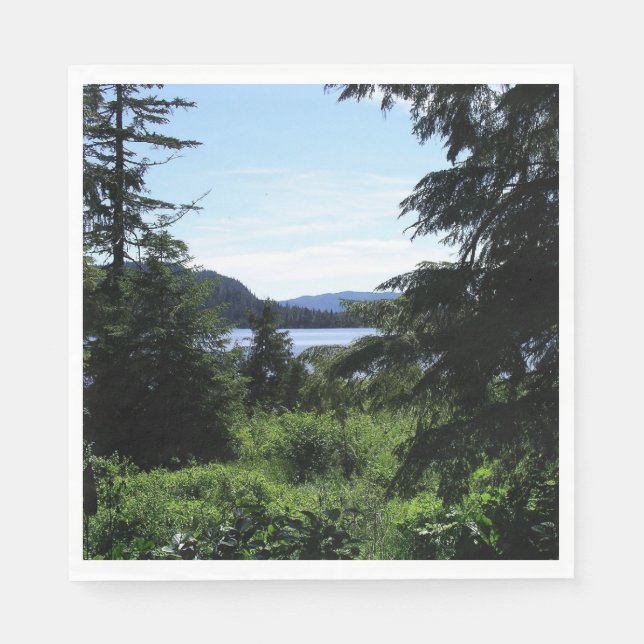Alaskan Landscape Beautiful Alaska Photography Napkins (Front)