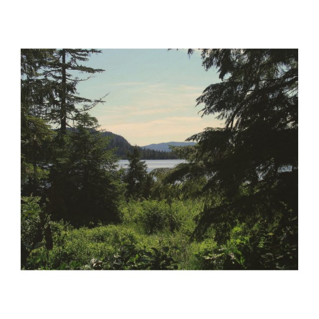 Alaskan Landscape Beautiful Alaska Photography Wood Wall Decor (Front)