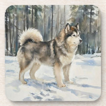 Alaskan Malamute