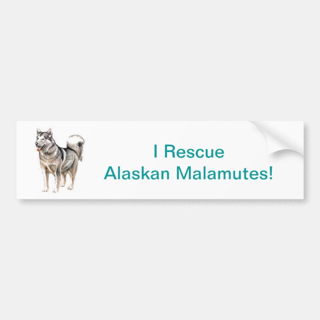 Alaskan Malamute Bumper Sticker (Front)