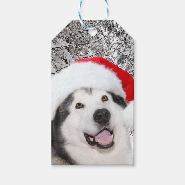Alaskan Malamute Christmas Gift Tags (Front)