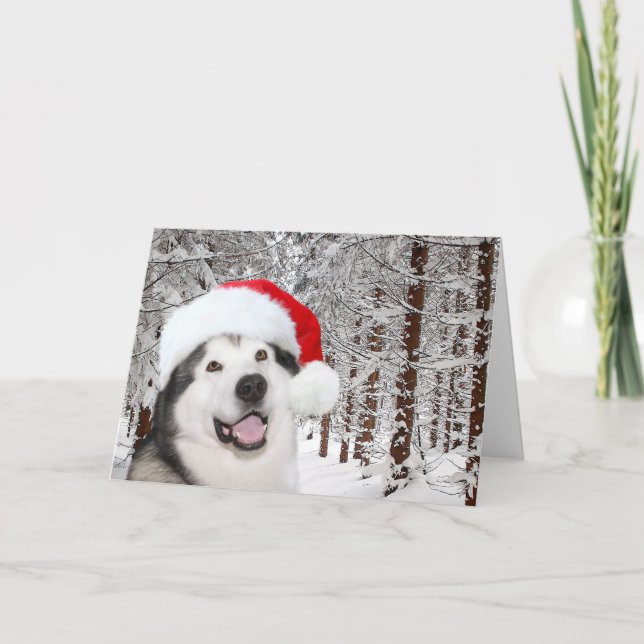 Alaskan Malamute Christmas Holiday Card (Front)