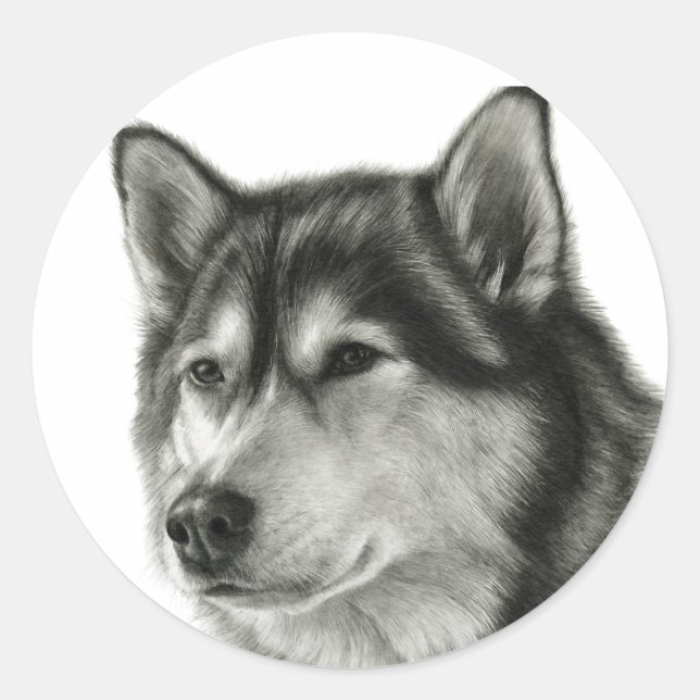 Alaskan Malamute Classic Round Sticker (Front)