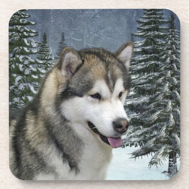 Alaskan Malamute Coasters (Front)