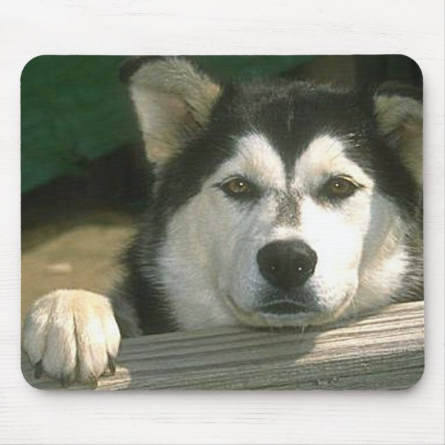 Alaskan Malamute - Customized Mouse Pad (Front)