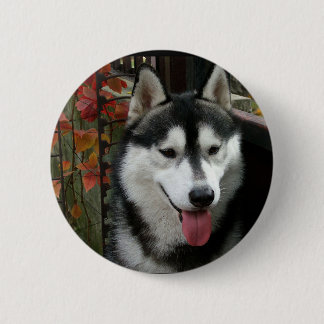 Alaskan Malamute Dog 3 Pinback Button