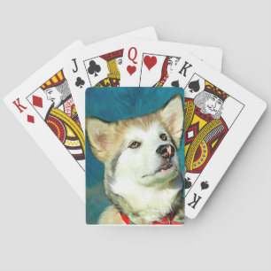 Alaskan Malamute Dog Art Poker Cards