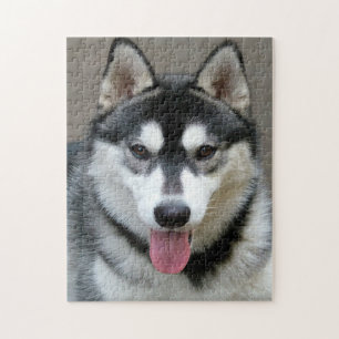 Alaskan Malamute Dog Face Photo Jigsaw Puzzle