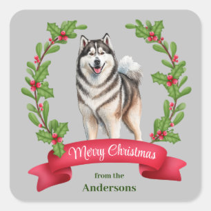 Alaskan Malamute Dog Holly Banner Christmas Square Sticker