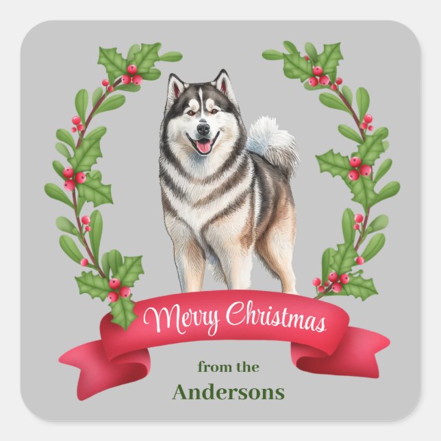 Alaskan Malamute Dog Holly Banner Christmas Square Sticker (Front)