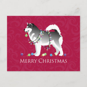 Alaskan Malamute Dog Merry Christmas Design Holiday Postcard