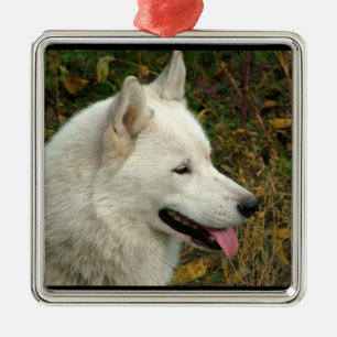 Alaskan Malamute Dog Metal Ornament
