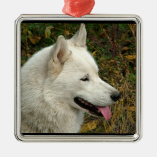 Alaskan Malamute Dog Metal Ornament