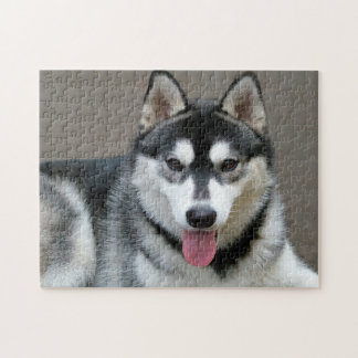 Alaskan Malamute Dog Photo Image Jigsaw Puzzle
