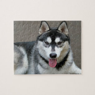 Alaskan Malamute Dog Photograph Jigsaw Puzzle