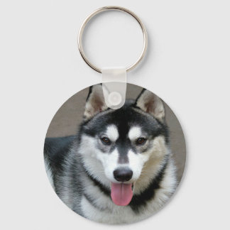 Alaskan Malamute Dog Photograph Keychain