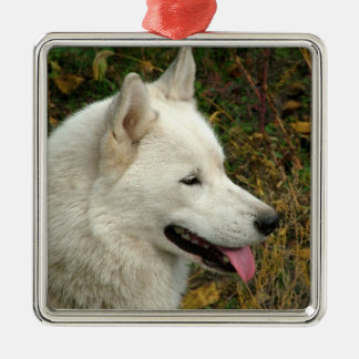 Alaskan Malamute Dog Photograph Metal Ornament