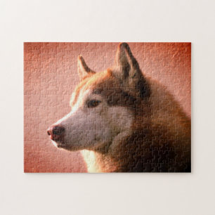 Alaskan Malamute Dog Photograph Red Jigsaw Puzzle