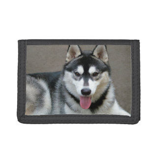 Alaskan Malamute Dog Photograph Tri-fold Wallet