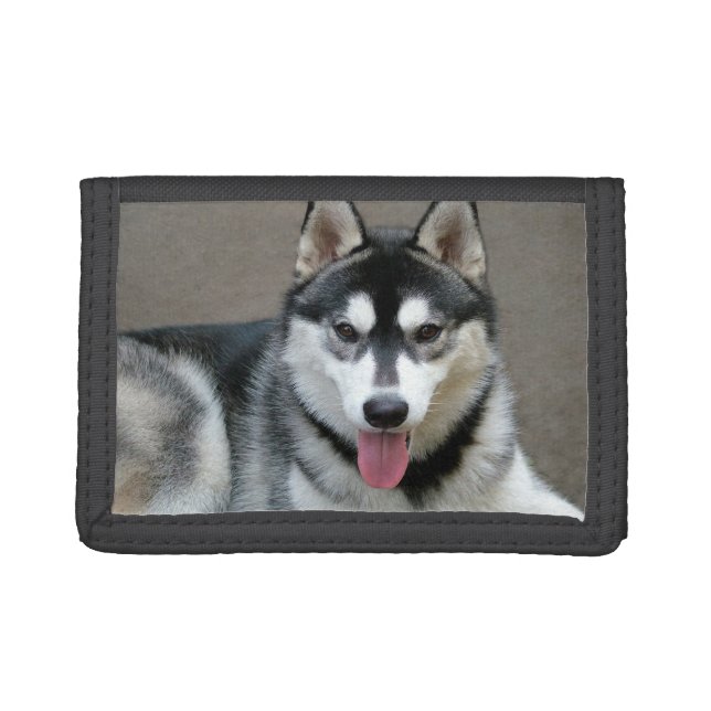 Alaskan Malamute Dog Photograph Tri-fold Wallet (Front)