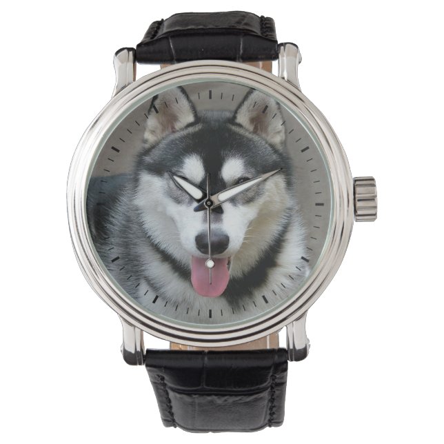 Alaskan Malamute Dog Photograph Watch (Front)