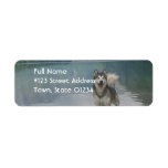 Alaskan Malamute Dog Return Address Label