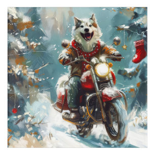 Alaskan Malamute Dog Riding Motorcycle Christmas Acrylic Print
