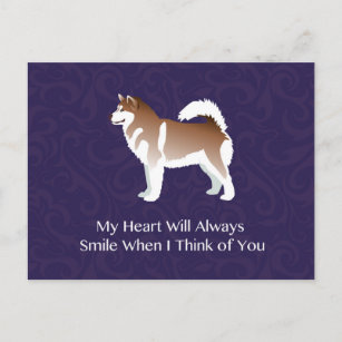 Alaskan Malamute Dog Thinking of You Design Postcard