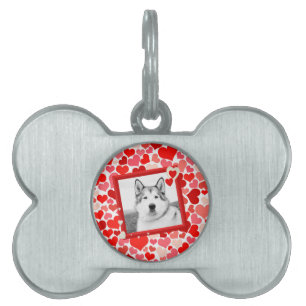 Alaskan Malamute Dog Valentines Heart Pet Tag