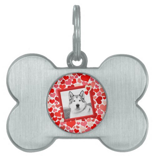 Alaskan Malamute Dog Valentines Heart Pet Tag