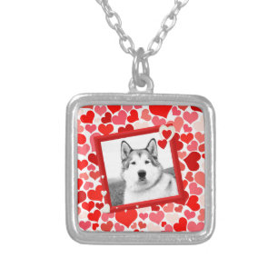 Alaskan Malamute Dog Valentines Heart Silver Plated Necklace
