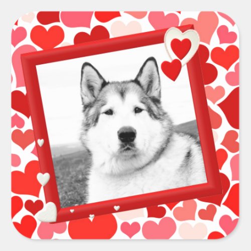 Alaskan Malamute Dog Valentines Heart Square Sticker