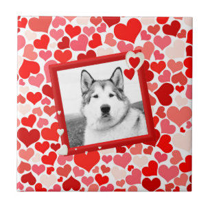 Alaskan Malamute Dog Valentines Heart Tile