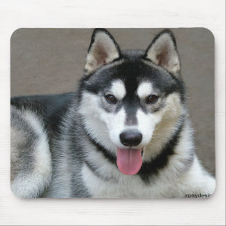 Alaskan Malamute Dogs Mouse Pad