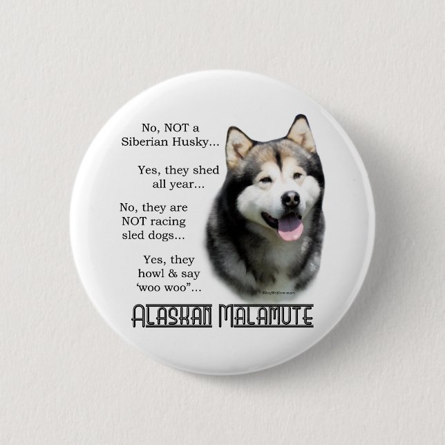 Alaskan Malamute FAQ - Button (Front)
