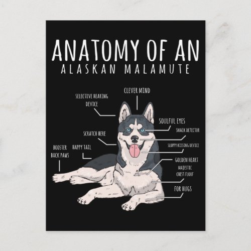 Alaskan Malamute Funny Dog Owner Postcard