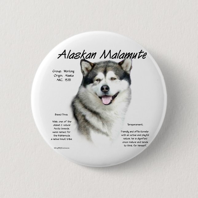 Alaskan Malamute History, All about Malamutes Button (Front)