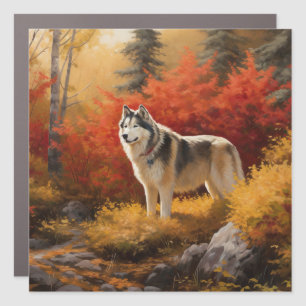 Alaskan Malamute in Autumn Leaves Fall Inspired Car Magnet