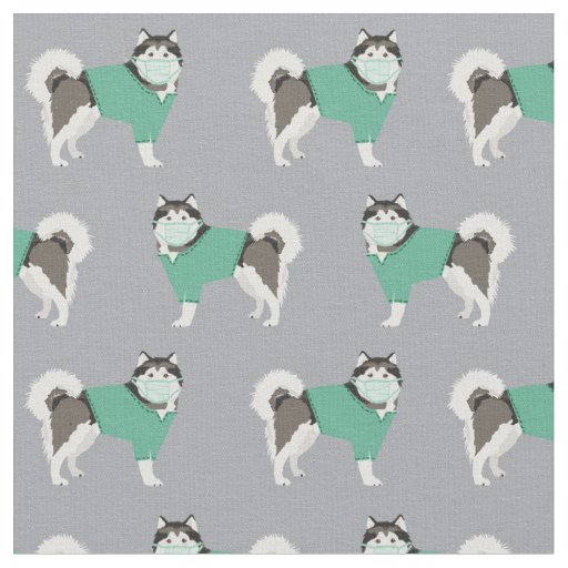 alaskan malamute in scrubs grey fabric