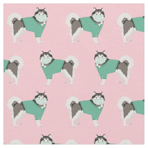 alaskan malamute in scrubs in pink fabric