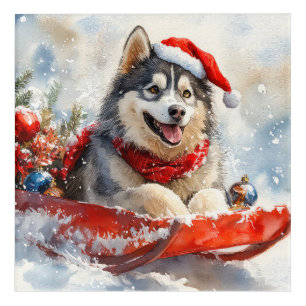 Alaskan Malamute in Sledge Let it Snow Christmas Acrylic Print