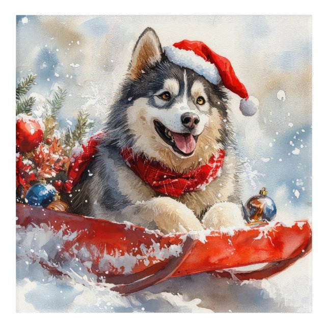 Alaskan Malamute in Sledge Let it Snow Christmas Acrylic Print (Front)