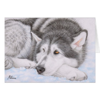 Alaskan Malamute in snow Cards