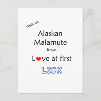 Alaskan Malamute Lick Design Postcard