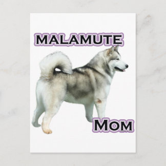 Alaskan Malamute Mom 4 Postcard